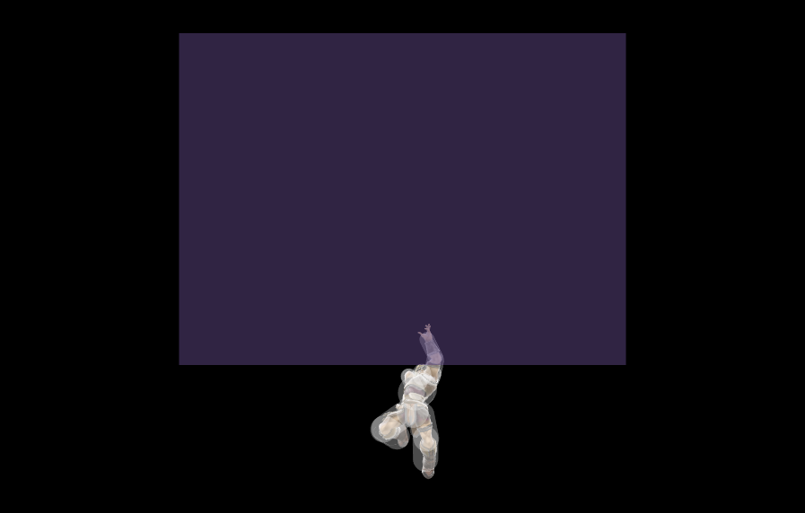 Hitbox Image